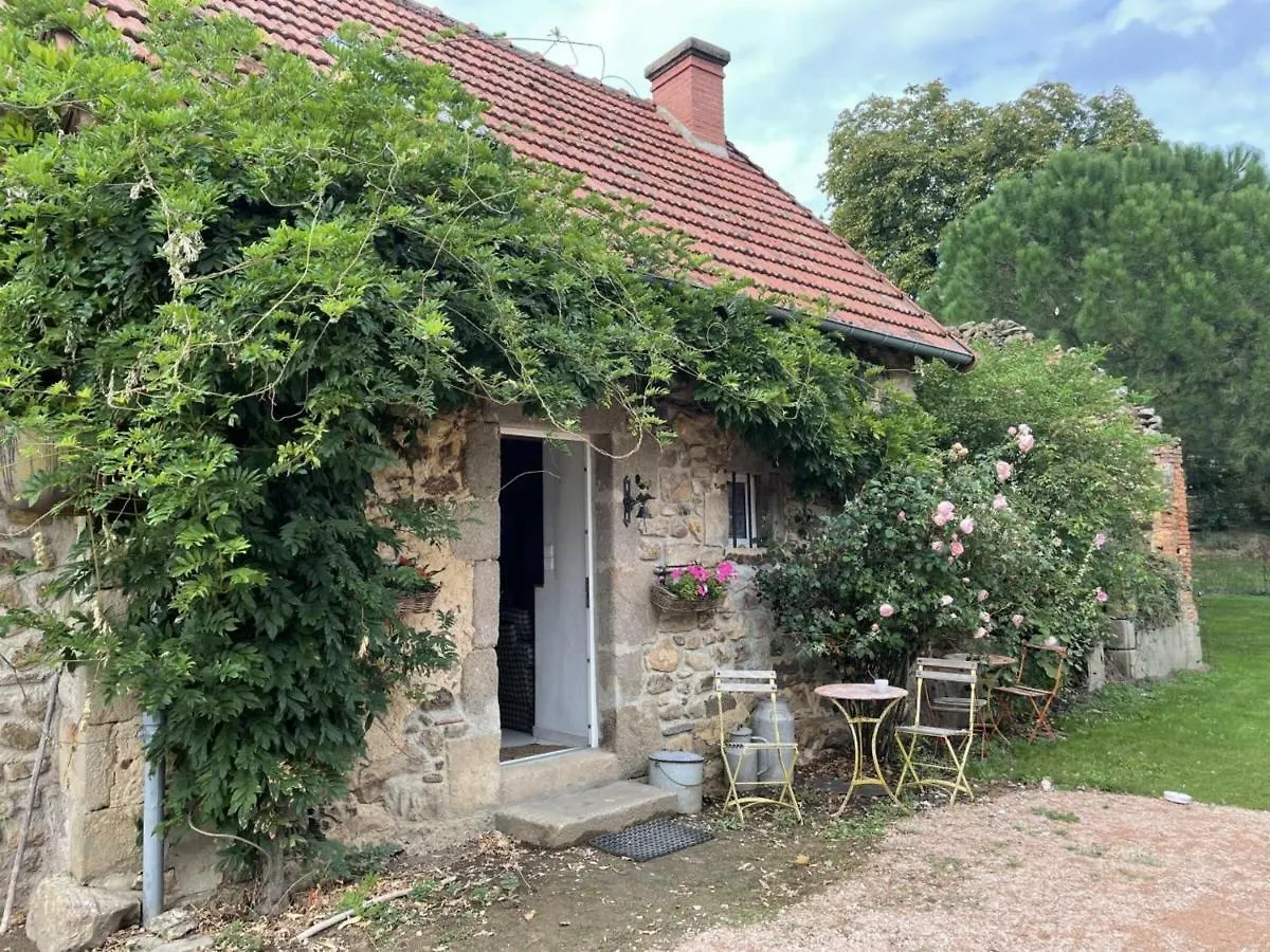 Gite Charme & Confort Avec Piscine, Terrasse, Jardin Clos, Pres De Neris Les Bains, Animaux Acceptes - Fr-1-489-344 Terjat
