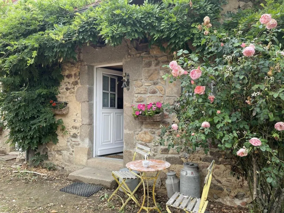 Holiday home Gite Charme & Confort Avec Piscine, Terrasse, Jardin Clos, Pres De Neris Les Bains, Animaux Acceptes - Fr-1-489-344 Terjat France